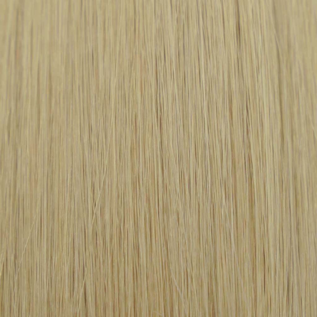 Hairlaya Beige Blonde (#24G) Hand-Tied Wefts Hair Extensions Double Drawn color