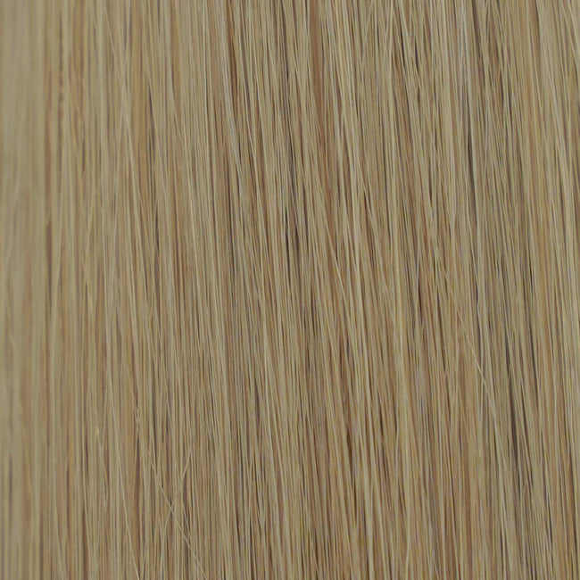 Hairlaya  Dirty Blonde (#12) Hand-Tied Wefts Hair Extensions Double Drawn Color