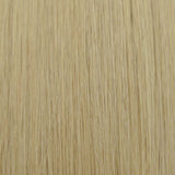 Beige Blonde (#24) Straight Tape-In Hair Extensions Double Drawn Color